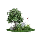 Lawn & Garden