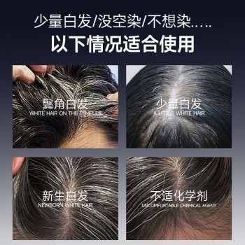 PAZT鱼子酱快速美发笔应急补色遮盖美发笔一次性染发梳染自然