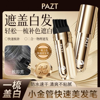 PAZT快速美发笔20ml一次性补色带梳齿临时遮盖白发不脱色批发代发