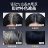 PAZT鱼子酱快速美发笔应急补色遮盖美发笔一次性染发梳染自然
