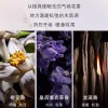YS限定奢金香水女士持久留香优雅淡香送女友闺蜜生日礼物厂家直销