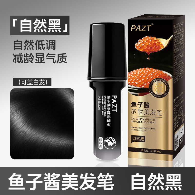 PAZT鱼子酱快速美发笔应急补色遮盖美发笔一次性染发梳染自然