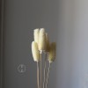 拉毛果干花 插花装饰摆件软装 长寿果蓟果云南永生花干花厂家批发