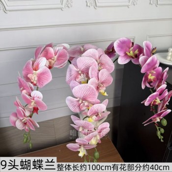 9头胶片蝴蝶兰仿真假花婚庆礼堂花排路引插花装饰布置花艺花材