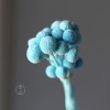 永生黄金球干花花束批发 金槌花黄金果天然真花配草花材厂家批发