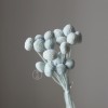 永生黄金球干花花束批发 金槌花黄金果天然真花配草花材厂家批发