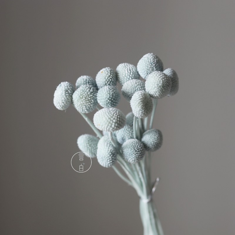 永生黄金球干花花束批发 金槌花黄金果天然真花配草花材厂家批发