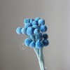 永生黄金球干花花束批发 金槌花黄金果天然真花配草花材厂家批发