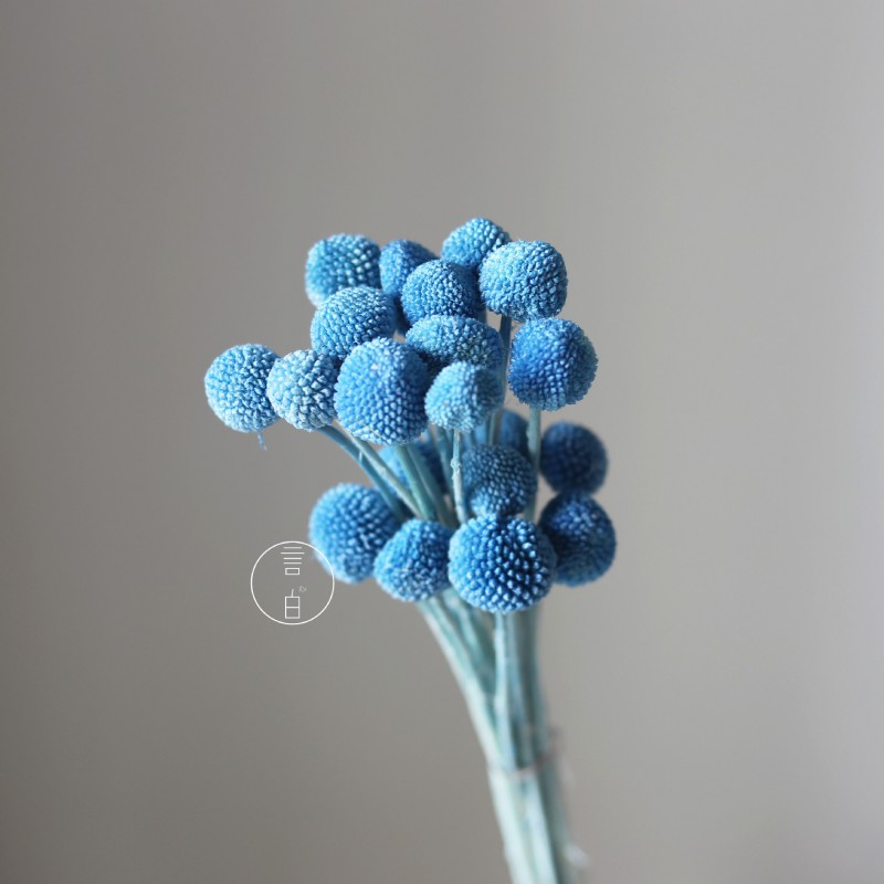 永生黄金球干花花束批发 金槌花黄金果天然真花配草花材厂家批发