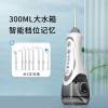 跨境家用水牙线手持便携式洗牙器电动超声波口腔清洁多功能冲牙器