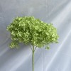花者单支安娜绣球伴手礼绣球干花永生绣球家居装饰插花多色批发