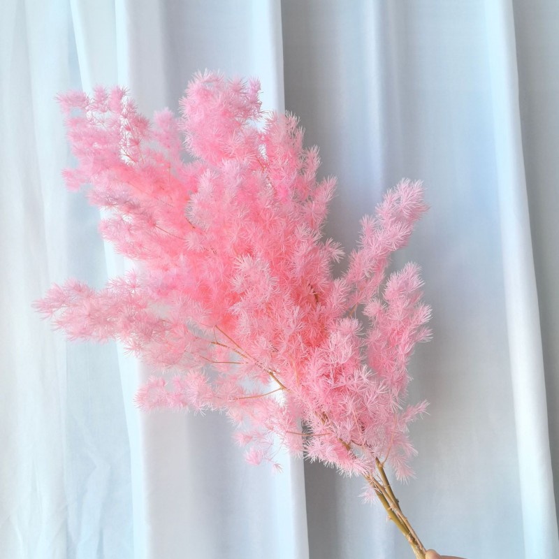 永生蓬莱松雪松干花真花diy婚庆花卉永蝴蝶永生花DIY材料工厂直发