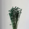 干花富贵豆相思豆 永生花厂家批发 红色金色红豆胡麻豆繁星果花束