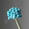 永生黄金球干花花束批发 金槌花黄金果天然真花配草花材厂家批发