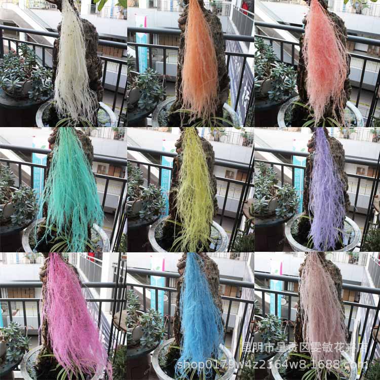 【龙须草 】永生花保鲜花龙须草DIY花材婚庆家居装饰清新儒雅风