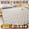 床垫软垫家用床褥垫夏薄款褥子租房垫被宿舍防滑床护垫床单人铺底