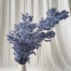永生蓬莱松雪松干花真花diy婚庆花卉永蝴蝶永生花DIY材料工厂直发
