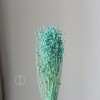 干花富贵豆相思豆 永生花厂家批发 红色金色红豆胡麻豆繁星果花束
