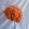 花者单支安娜绣球伴手礼绣球干花永生绣球家居装饰插花多色批发