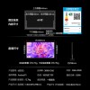 海信电视E3Q系列55/65英寸高刷高清AI画质标杆4K电视机智能语音