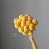 永生黄金球干花花束批发 金槌花黄金果天然真花配草花材厂家批发