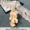 9头胶片蝴蝶兰仿真假花婚庆礼堂花排路引插花装饰布置花艺花材