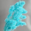 永生蓬莱松雪松干花真花diy婚庆花卉永蝴蝶永生花DIY材料工厂直发