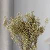 小米果小尤加利果干花僵尸果桉树果永生花插花装饰摆件厂家批发