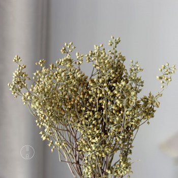 小米果小尤加利果干花僵尸果桉树果永生花插花装饰摆件厂家批发