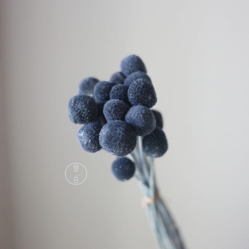 永生黄金球干花花束批发 金槌花黄金果天然真花配草花材厂家批发