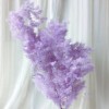 永生蓬莱松雪松干花真花diy婚庆花卉永蝴蝶永生花DIY材料工厂直发