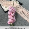 9头胶片蝴蝶兰仿真假花婚庆礼堂花排路引插花装饰布置花艺花材