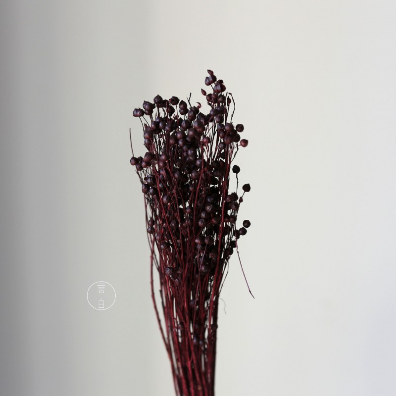 干花富贵豆相思豆 永生花厂家批发 红色金色红豆胡麻豆繁星果花束