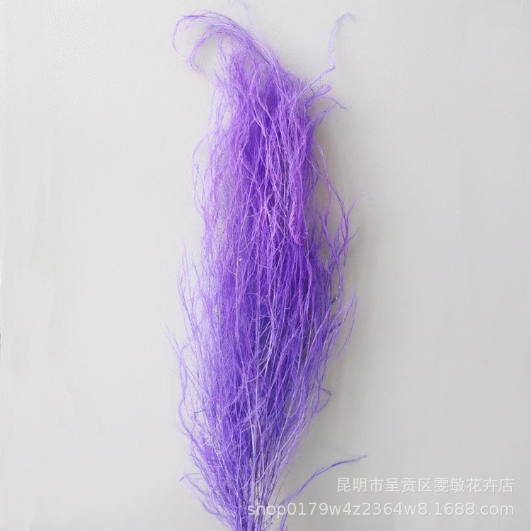 【龙须草 】永生花保鲜花龙须草DIY花材婚庆家居装饰清新儒雅风