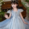 女童公主裙2026夏新款儿童冰雪奇缘艾莎连衣裙女孩礼服蓬蓬网纱裙