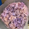 花者单支安娜绣球伴手礼绣球干花永生绣球家居装饰插花多色批发