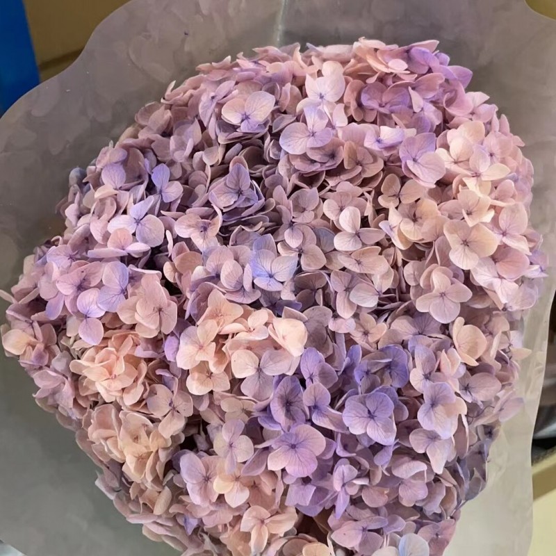 花者单支安娜绣球伴手礼绣球干花永生绣球家居装饰插花多色批发