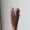 干花富贵豆相思豆 永生花厂家批发 红色金色红豆胡麻豆繁星果花束