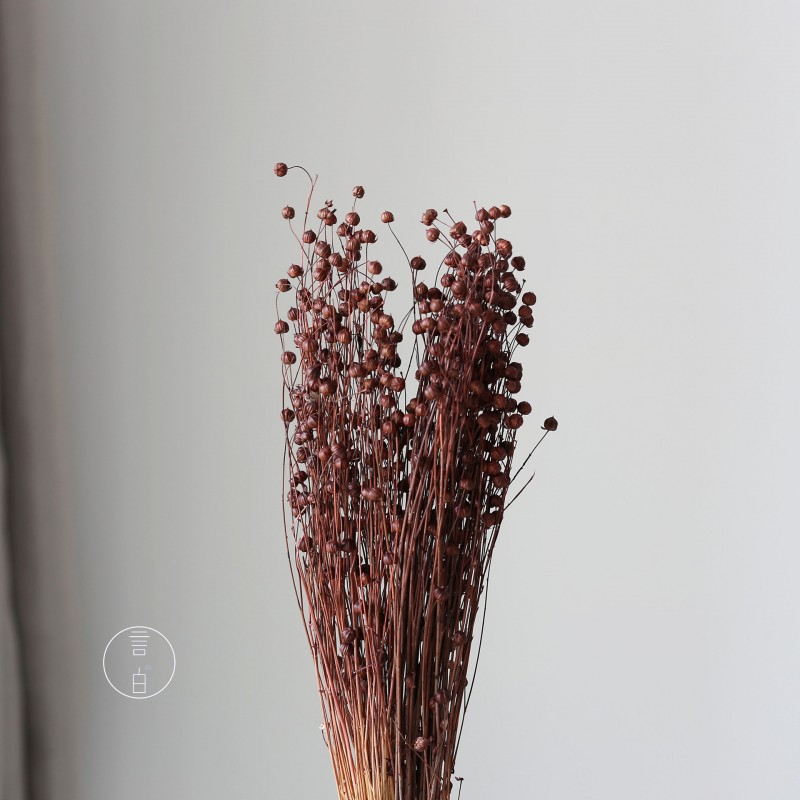 干花富贵豆相思豆 永生花厂家批发 红色金色红豆胡麻豆繁星果花束