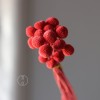 永生黄金球干花花束批发 金槌花黄金果天然真花配草花材厂家批发