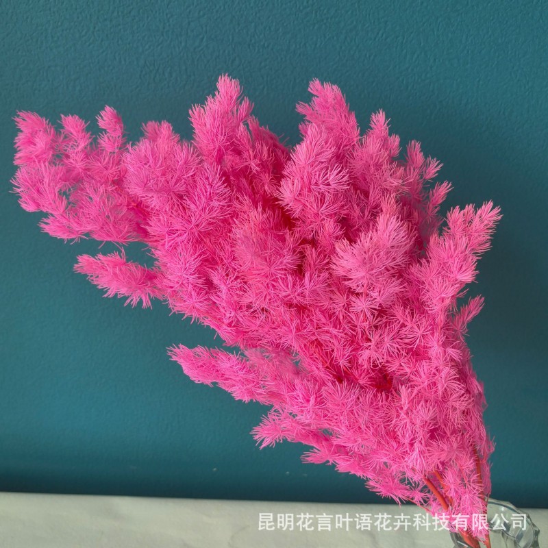 永生蓬莱松雪松干花真花diy婚庆花卉永蝴蝶永生花DIY材料工厂直发