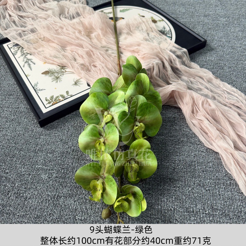 9头胶片蝴蝶兰仿真假花婚庆礼堂花排路引插花装饰布置花艺花材