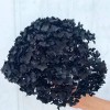 花者单支安娜绣球伴手礼绣球干花永生绣球家居装饰插花多色批发