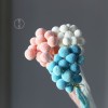 永生黄金球干花花束批发 金槌花黄金果天然真花配草花材厂家批发