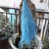 【龙须草 】永生花保鲜花龙须草DIY花材婚庆家居装饰清新儒雅风