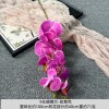 9头胶片蝴蝶兰仿真假花婚庆礼堂花排路引插花装饰布置花艺花材