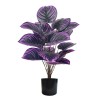 新品仿真植物紫罗兰 暗黑系绿植 跨境出口仿真花家居客厅落地盆景