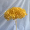 花者单支安娜绣球伴手礼绣球干花永生绣球家居装饰插花多色批发