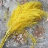 【龙须草 】永生花保鲜花龙须草DIY花材婚庆家居装饰清新儒雅风