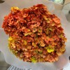 花者单支安娜绣球伴手礼绣球干花永生绣球家居装饰插花多色批发